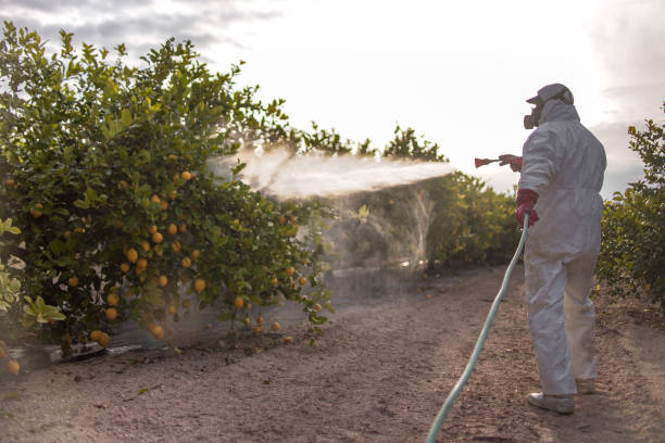 Best Pest Inspection Near Me  in Rosebud, SD