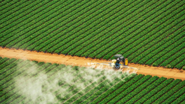 Best Pest Removal Services  in Rosebud, SD